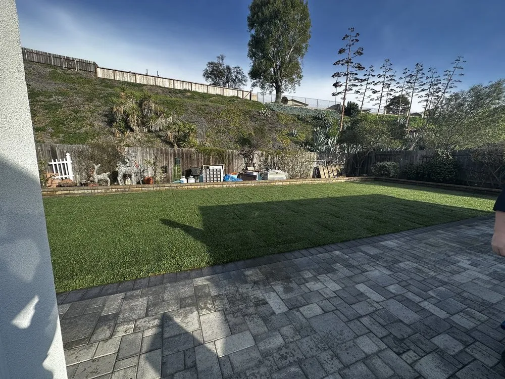Expert yard maintenance for year-round maintenance in San Diego, CA by Amg Paver Services