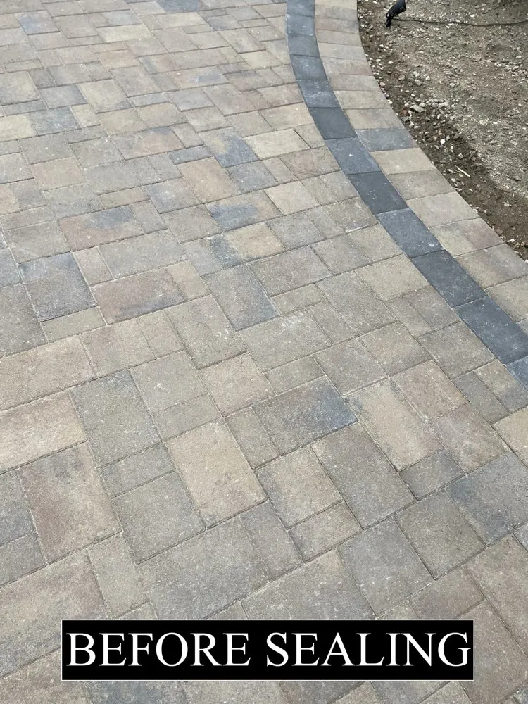 Affordable yard cleanup service in San Diego, CA - Amg Paver Services