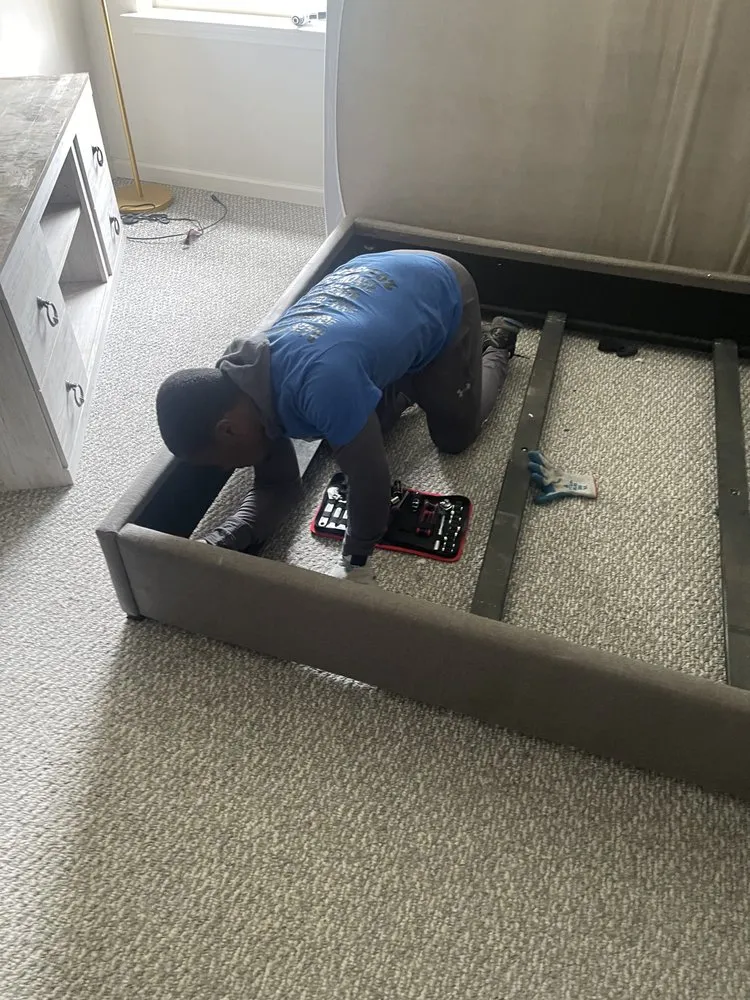 Top-rated lawn care service in Newark, NJ by AMG Removal