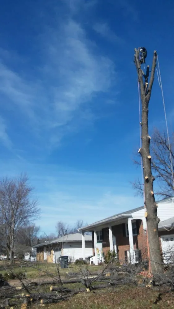 Custom yard maintenance for year-round maintenance in Evansville, IN by AMG Tree Service & Landscaping