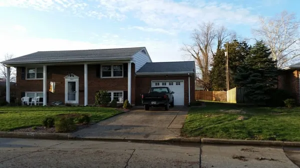 AMG Tree Service & Landscaping Logo