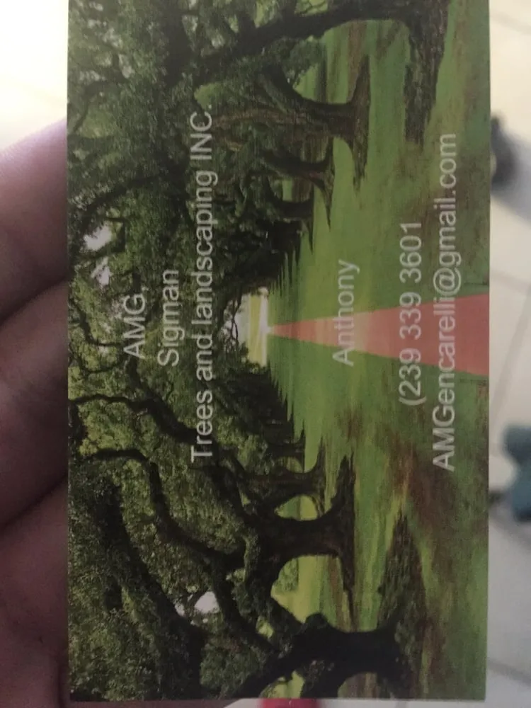 Trusted lawn care service in Fort Myers, FL by AMG Tree Service and Landscaping