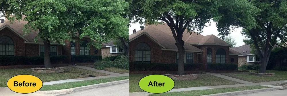 Reliable yard cleanup service in Fort Myers, FL by AMG Tree Service and Landscaping