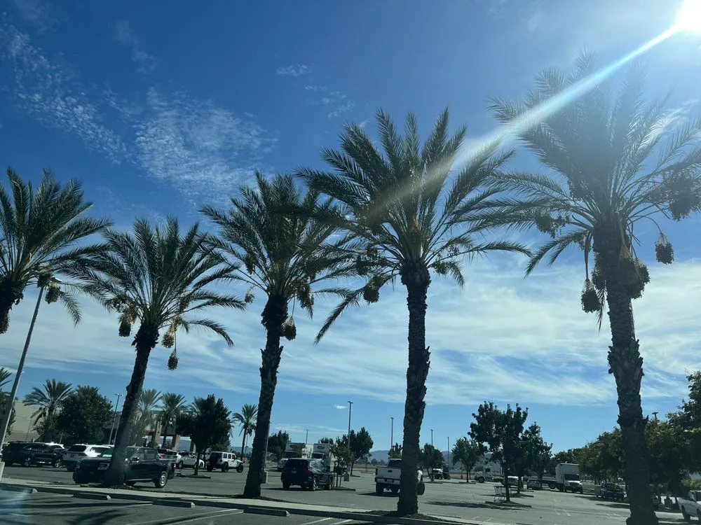 Reliable yard cleanup service for residential properties in San Diego, CA by AMH Landscape