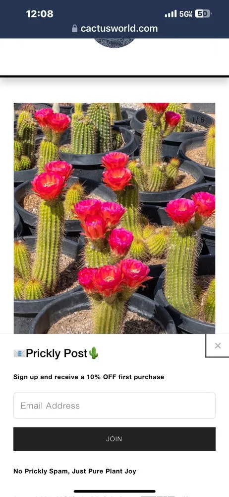 Local landscape design in San Diego, CA - AMH Landscape