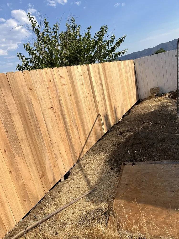 Trusted lawn care service experts serving San Diego, CA - AMH Landscape