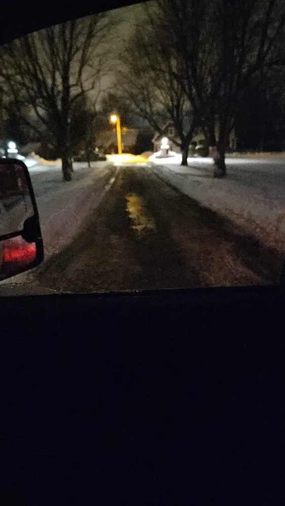 Professional yard cleanup service in Williamsville, NY - Amherst Landscapping