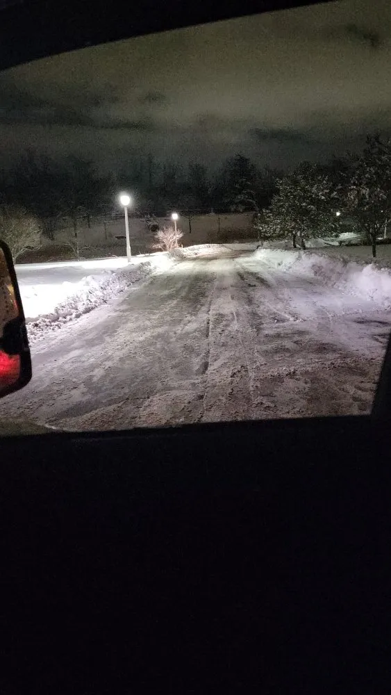 Expert outdoor landscaping in Williamsville, NY by Amherst Landscapping