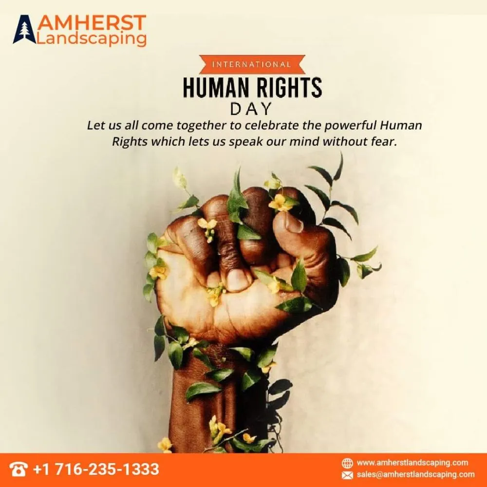 Top-rated lawn care service for outdoor upgrades in Williamsville, NY by Amherst Landscapping