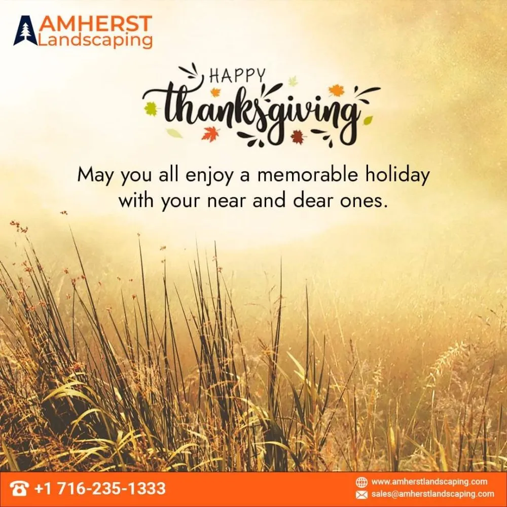 Expert yard cleanup service experts serving Williamsville, NY - Amherst Landscapping