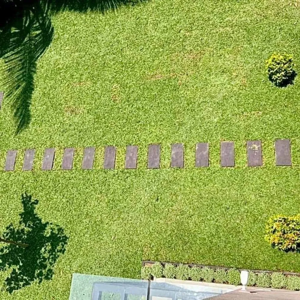 Top-rated lawn mowing service near you across Williamsville, NY - Amherst Landscapping