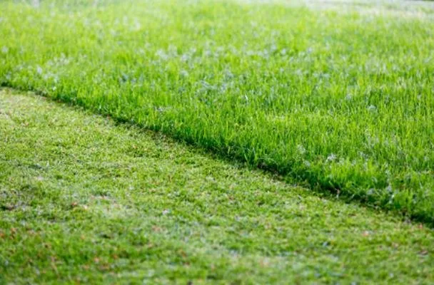Trusted outdoor landscaping for outdoor upgrades across New Enterprise, PA - Amick's Handyman