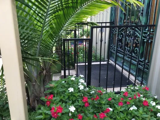 Amigo Lawn Service Logo