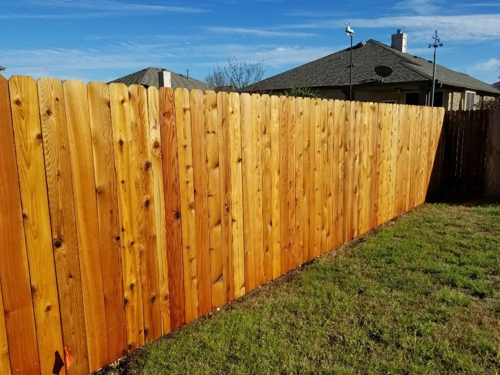 Expert yard cleanup service in Georgetown, TX by Amigo Sprinklers and Landscaping