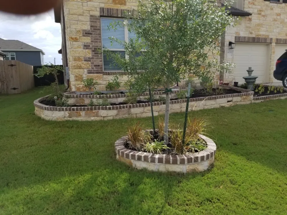 Affordable lawn mowing service in Georgetown, TX - Amigo Sprinklers and Landscaping