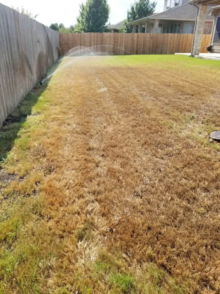 Professional residential landscaping in Georgetown, TX by Amigo Sprinklers and Landscaping