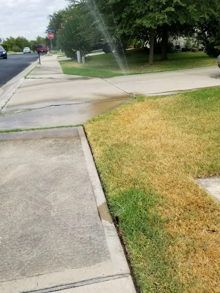 Professional landscape installation in Georgetown, TX by Amigo Sprinklers and Landscaping