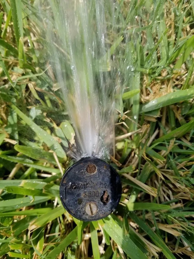 Affordable lawn mowing service in Georgetown, TX by Amigo Sprinklers and Landscaping