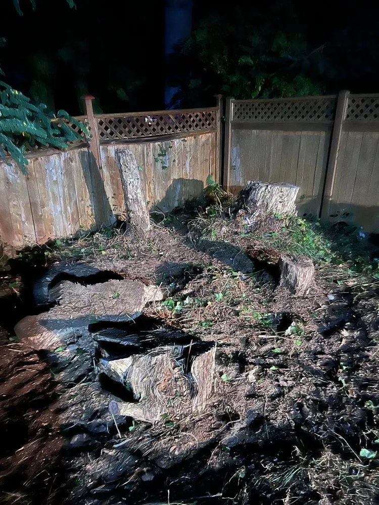 Trusted outdoor landscaping for year-round maintenance across Monroe, WA - Amigo Tree Care & Landscaping