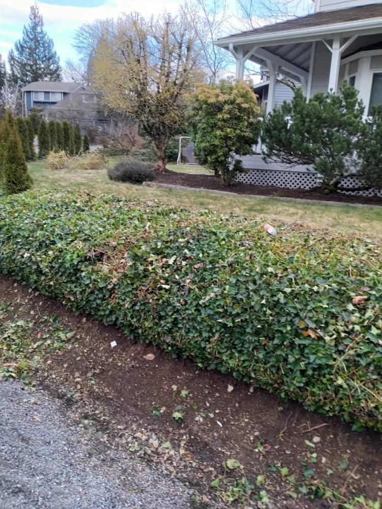 Trusted landscape installation in Monroe, WA - Amigo Tree Care & Landscaping
