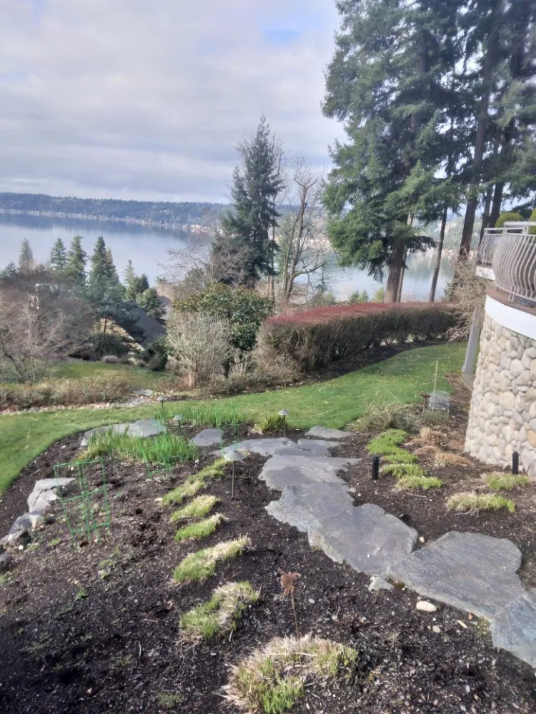 Custom lawn mowing service for year-round maintenance in Monroe, WA by Amigo Tree Care & Landscaping