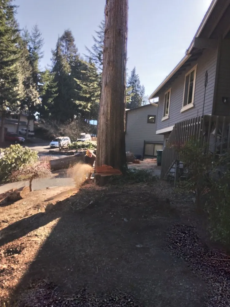 Reliable outdoor landscaping with custom design in Monroe, WA by Amigo Tree Care & Landscaping