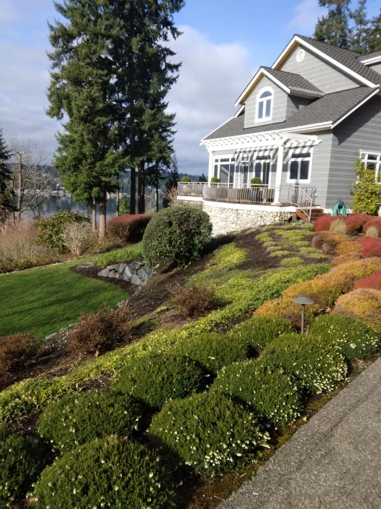 Local outdoor landscaping with custom design across Monroe, WA - Amigo Tree Care & Landscaping