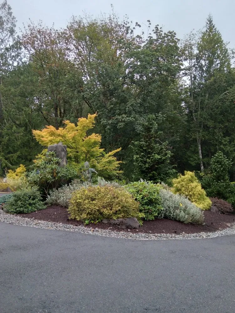Top-rated landscaping services for outdoor upgrades in Monroe, WA by Amigo Tree Care & Landscaping