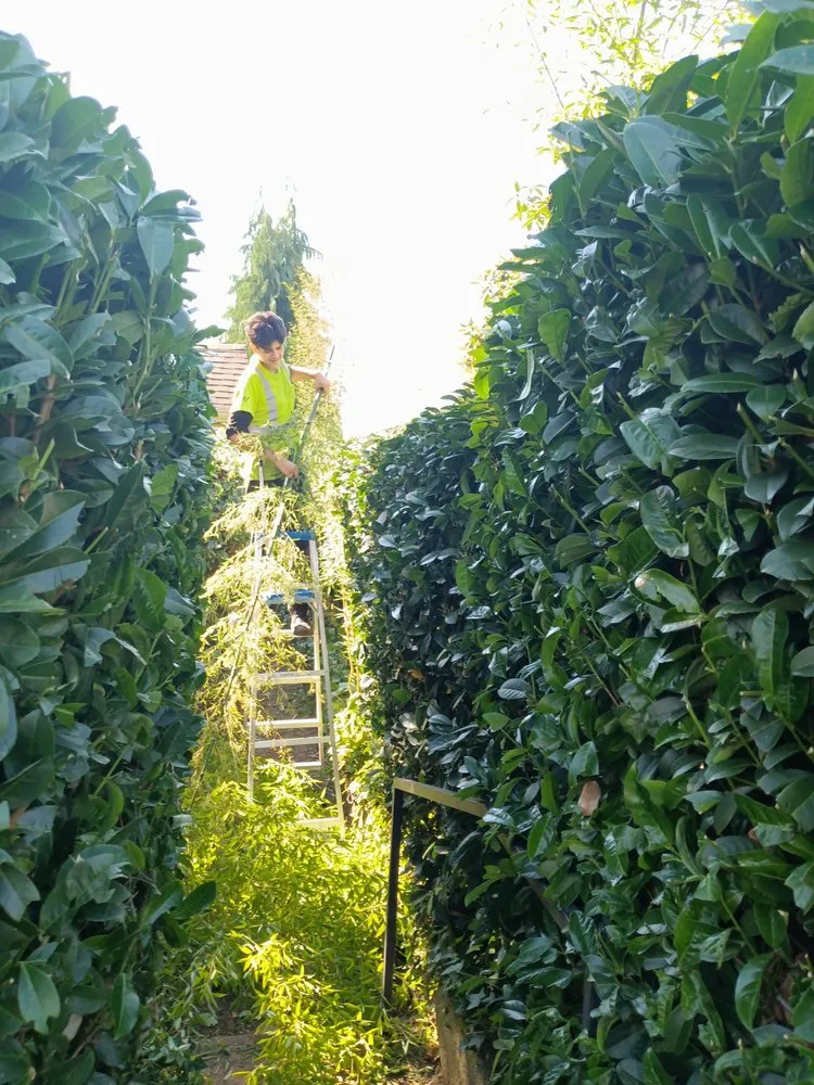 Expert yard maintenance with custom design in Monroe, WA by Amigo Tree Care & Landscaping