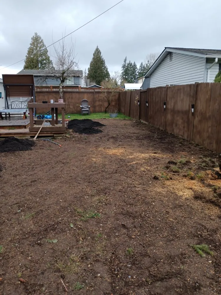 Top-rated yard cleanup service in Monroe, WA by Amigo Tree Care & Landscaping
