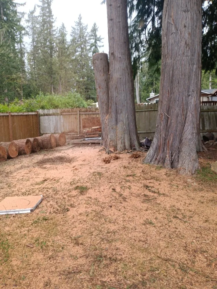 Local yard maintenance experts serving Monroe, WA - Amigo Tree Care & Landscaping