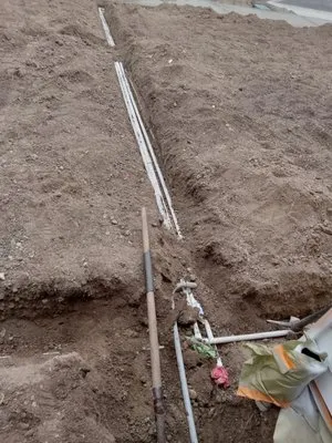 Amigo Tree Care & Landscaping Logo