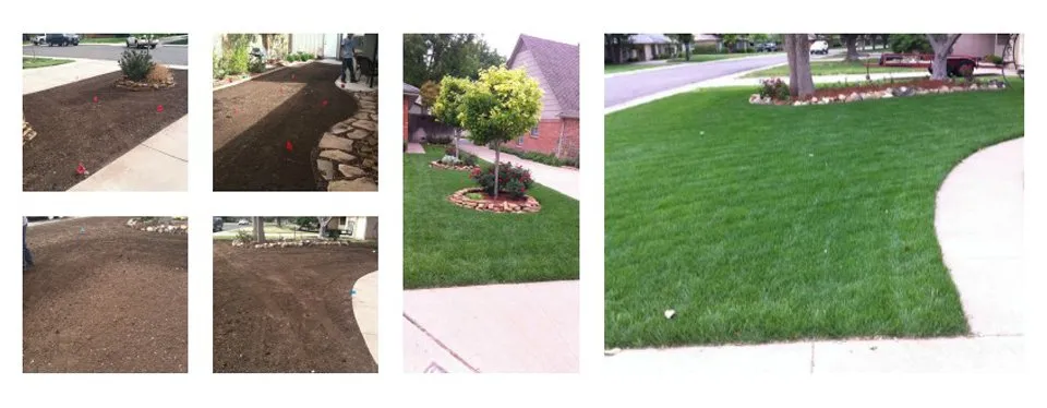 Expert residential landscaping in Amarillo, TX by Amigos Compost