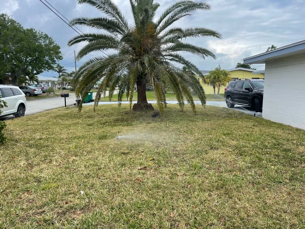 Expert residential landscaping in Cocoa, FL - Amigos Home Improvement