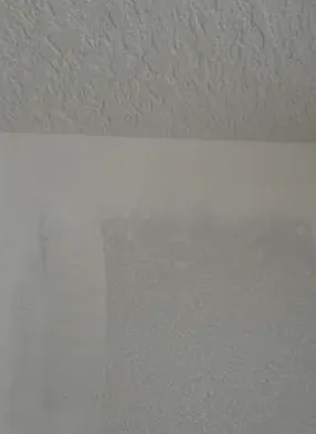 Expert yard cleanup service in Cocoa, FL by Amigos Home Improvement