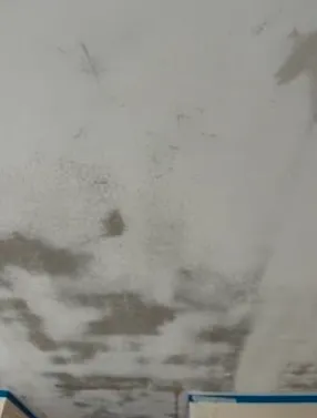 Reliable lawn care service experts serving Cocoa, FL - Amigos Home Improvement