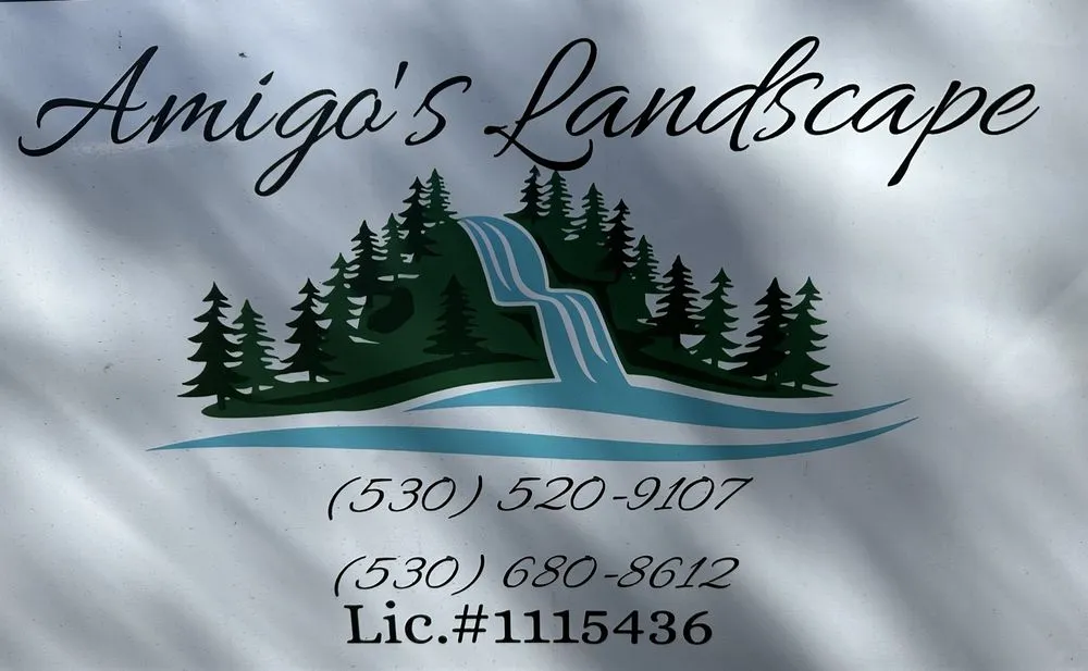 Expert residential landscaping experts serving Cohasset, CA - Amigos landscape