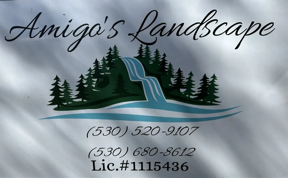 Trusted lawn care service for outdoor upgrades in Cohasset, CA by Amigos landscape