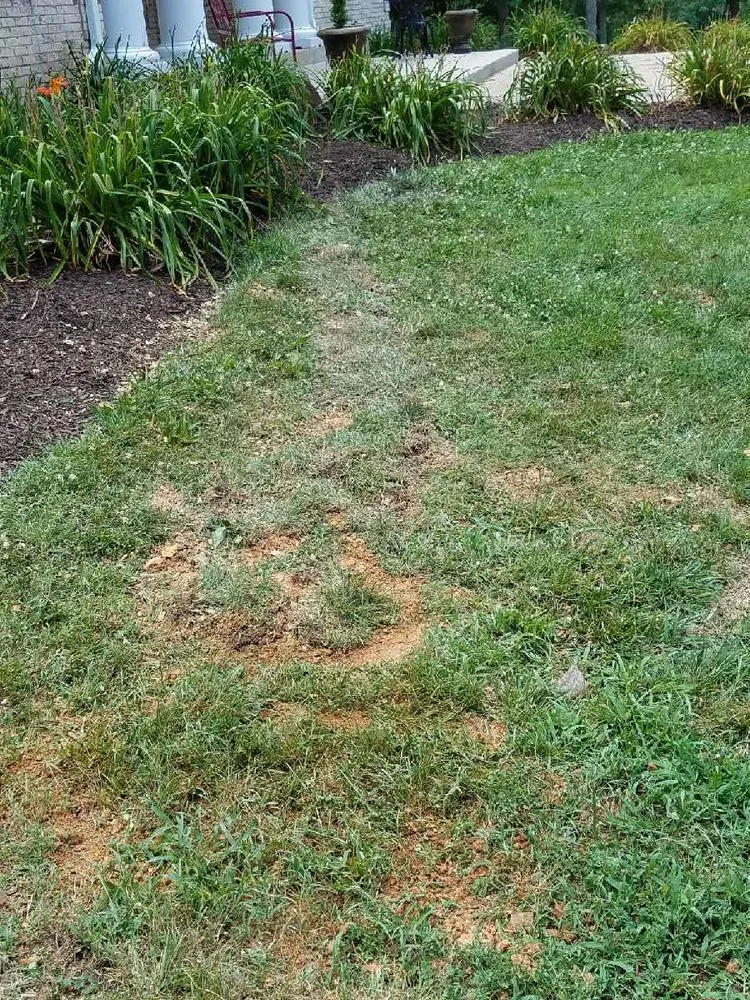 Custom landscape installation experts serving Fredericksburg, VA - Amigo's Landscaping