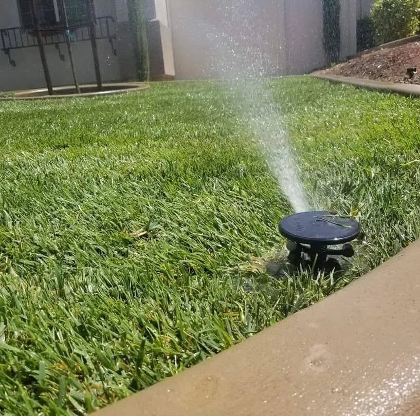 Custom lawn care service in Hemet, CA - Amigos Landscaping