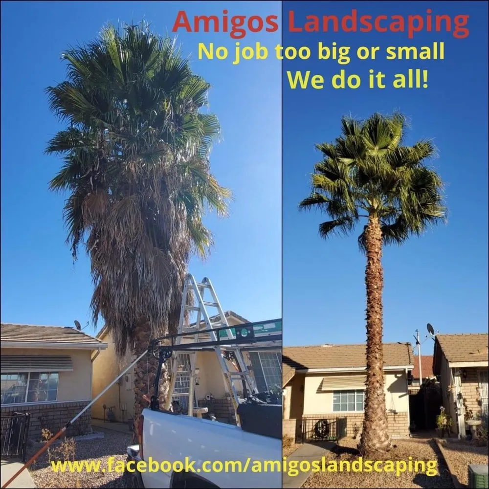 Professional landscaping services for beautiful yards in Hemet, CA by Amigos Landscaping