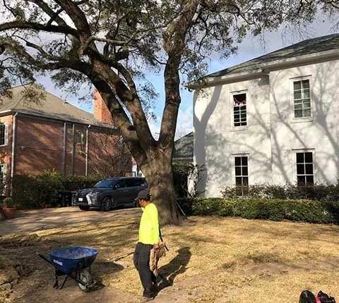 Professional lawn mowing service experts serving Houston, TX - Amigos Landscaping