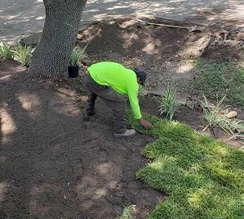 Local landscaping services for beautiful yards in Houston, TX by Amigos Landscaping