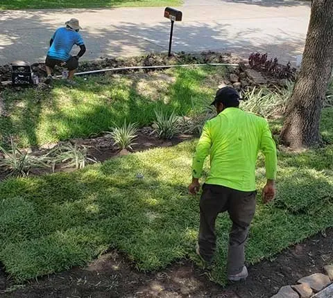 Top-rated garden landscaping for year-round maintenance in Houston, TX by Amigos Landscaping