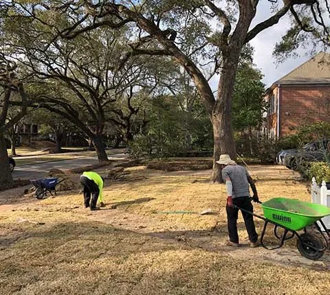 Professional lawn mowing service experts serving Houston, TX - Amigos Landscaping