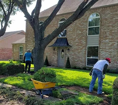 Professional residential landscaping experts serving Houston, TX - Amigos Landscaping