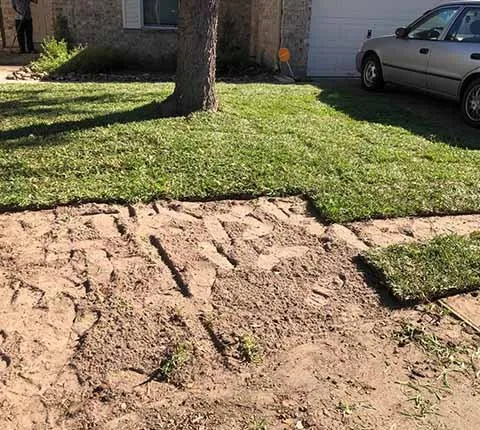 Affordable garden landscaping experts serving Houston, TX - Amigos Landscaping