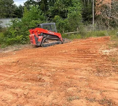 Expert landscape installation in Houston, TX by Amigos Landscaping