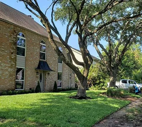 Expert yard cleanup service in Houston, TX - Amigos Landscaping