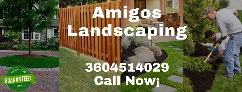 Reliable yard cleanup service in Shelton, WA by Amigos Landscaping